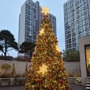 #12월의 선물#신승태 콘서트#송구영辛#태사랑 팬카페 이미지