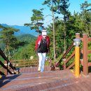 사천대로 이미지