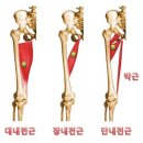 지오-디 이미지