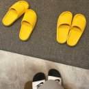 M자 탈모 고민 해결! 대전 두피 탈모 전문센터 대전본점 "모어블랙" 헤어라인 1회차 리얼 후기