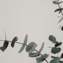 꽃향기 플라워 이미지