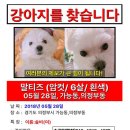 흥선역 이미지