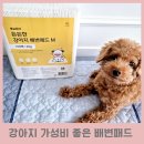 뽀시래기 | 강아지 가성비 좋은 뽀시래기 배변패드 100매 추천 사용후기