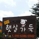 경주애견펜션햇살가득