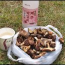 오름농장 이미지