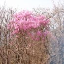 무등아래 이미지