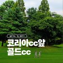 골드코리아 | 골드CC 챔피언코스 라운딩 후기