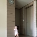 [190812-190818] 312-318days: 걸음마보조기 시작, 편백나무 탐색, 광고 보고 손 흔들기, 고개 옆으로...