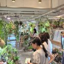 스마트스토어 창업 마스터 클래스 이미지