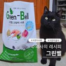 맛동산 | 고양이 설사 전쟁 끝! 그린벨 사료 먹고 맛동산 수확 후기