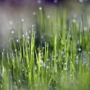 둔산한의원 이미지