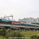 H1513 이미지