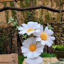 손끝에서 피어나는 페이퍼 플라워 이미지