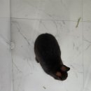 매산리 538 이미지