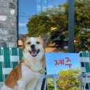 졔주