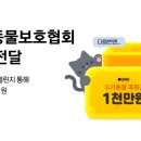 후원금_카카오페이