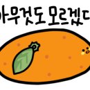 바비브로우 이미지