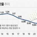 한국의 쇼비니즘이 저출산에 미치는 영향..........펌 이미지