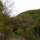 명곡동100 이미지