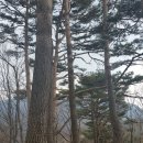 상동읍 밤산골 입구(상동읍-21) | (대간) 도래기재 옥돌봉 선달산 갈곶산 봉황산 부석사
