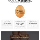 골드에그랑 이미지