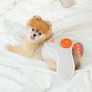 따땃