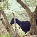 삼문농장 이미지