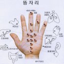 뜸 이미지