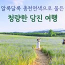 청량마 이미지