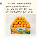 제주브릭스 | 온브릭스 제주감귤 산지직송 내돈내산 후기♡