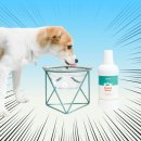 이미지덴탈 | 강아지 입냄새 제거 확실하게 관리하는 덴탈워터 사용 후기와 효과 분석