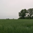 갈곡농장 이미지