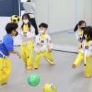 푸른나래 태권도장 이미지