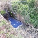 청정마을세탁 이미지