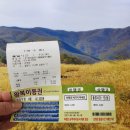 꽃다지 맞은편 | 여행 영남알프스 얼음골 케이블카/밀양 산외면 해바라기 꽃단지 청보리밭 후기 아이들과 가볼 만한 곳 추천