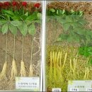 수경수산 이미지