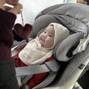 석조전 대한제국역사관 | 석조전 대한제국역사관 일반 해설 관람 예약 / 덕수궁 석조전 대한제국역사관 예약 성공, 토요일 관람...