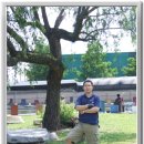 일영낚시터 이미지