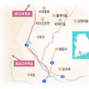 하늘아래별천지민박 | 노오란 꽃터널이 마을을 안았다