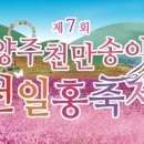 천일홍축제 이미지