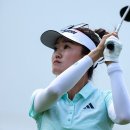 그레이스 이미지