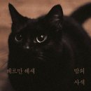 지나가다봄 이미지