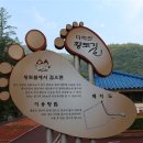 다리안 황토길 네이버블로그