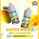 더스테 이미지