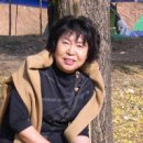 도봉-도봉-2133 이미지