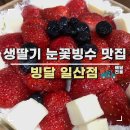 빙달(일산점) | 딜리버리 빙수 맛집 '빙달' 일산점 내돈내산 후기