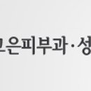 더고은피부과 네이버블로그