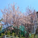 만나칼국수 이미지