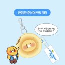 (주)인투어 | 프렌즈투어 인 광안리 카카오프렌즈 위치 포토존 춘식투어