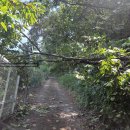 주식회사숲나무 이미지